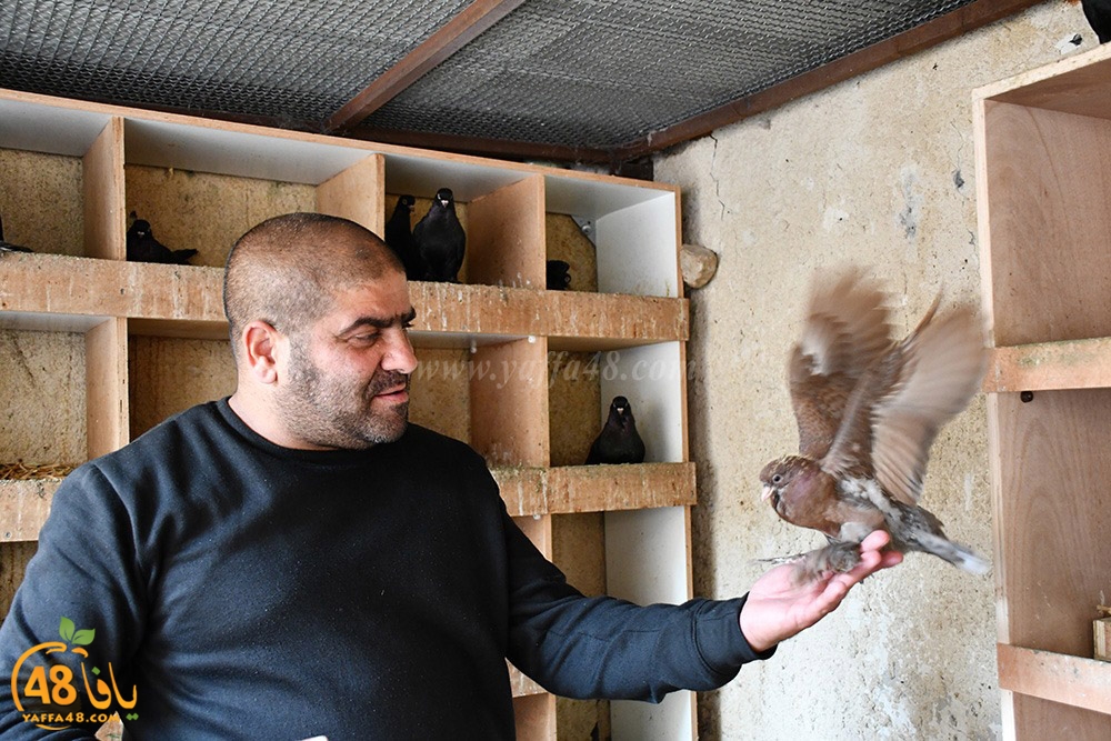 zohdi 3ashoor (54).jpeg